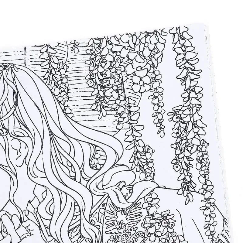 Coloriage Anti Stress Belle Et La Bête – Image 3