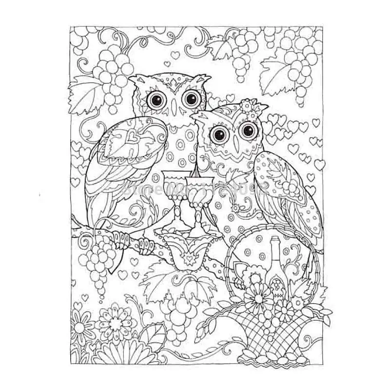 Coloriage Pour Adultes Anti Stress Hiboux – Image 2