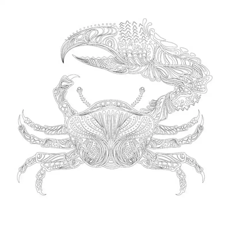 Coloriage Anti Stress Animaux Marins – Image 4